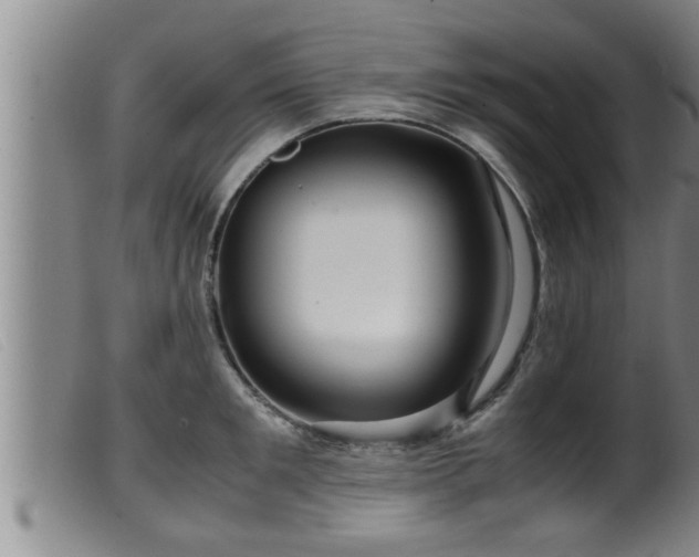 X0000099530901200805231059