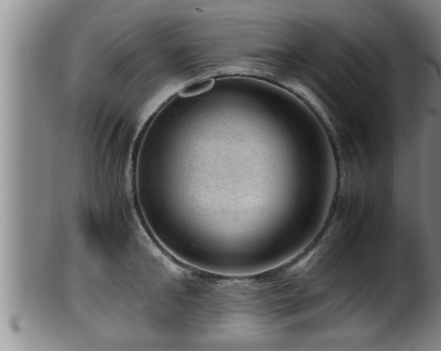 X0000099530902200805231059