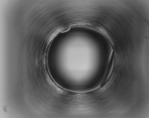 X0000099530906200805231059