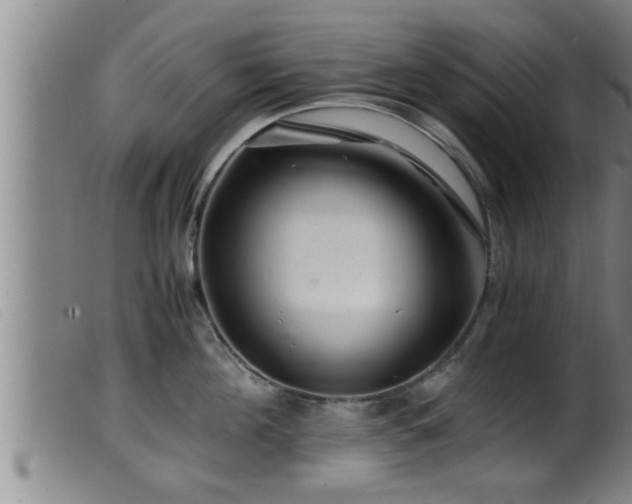 X0000099530908200805231059