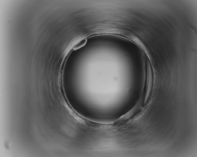 X0000099530909200805231059