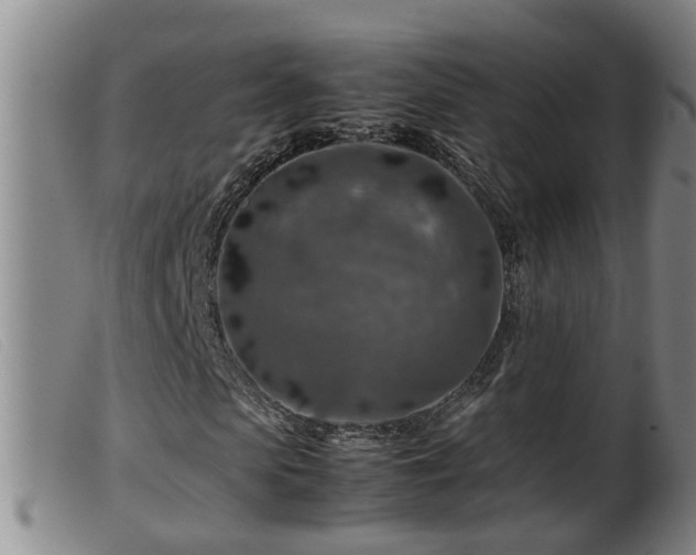 X0000099530913200805231058