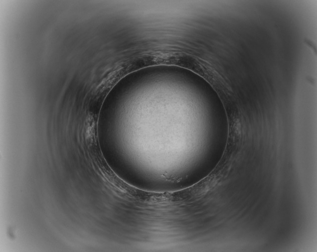 X0000099530914200805231058