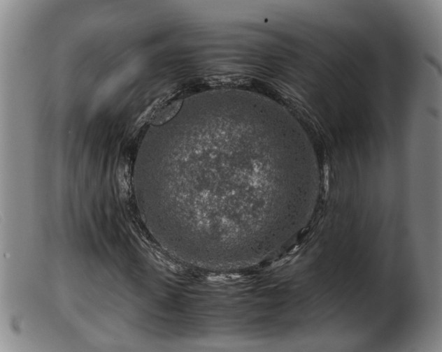 X0000099530915200805231058