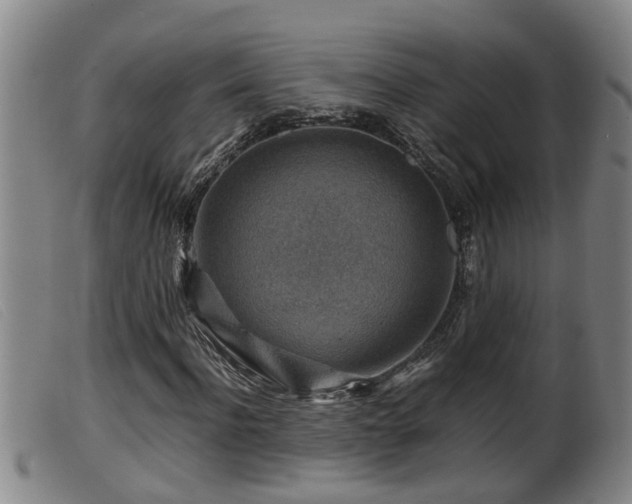 X0000099530916200805231058