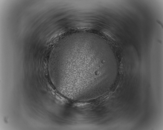X0000099530917200805231058