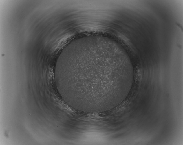 X0000099530918200805231058