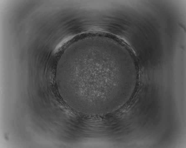 X0000099530919200805231058