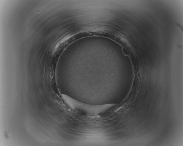 X0000099530920200805231058