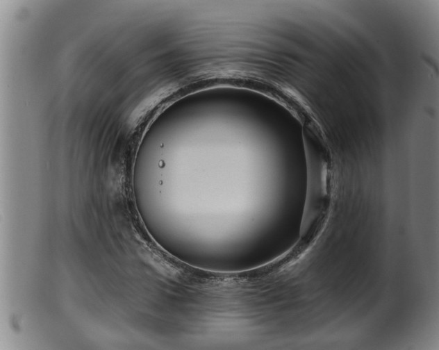 X0000099530922200805231058