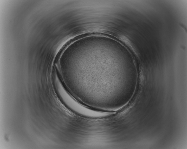 X0000099530924200805231058