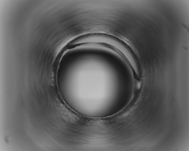 X0000099530926200805231058