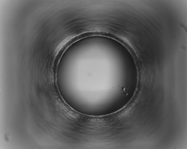 X0000099530927200805231058