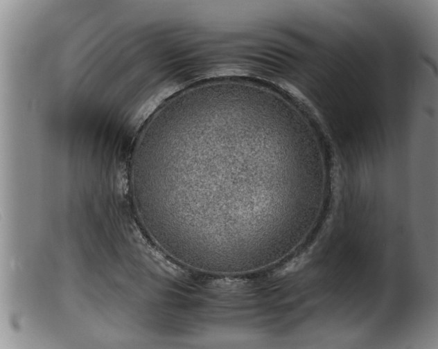 X0000099530929200805231058