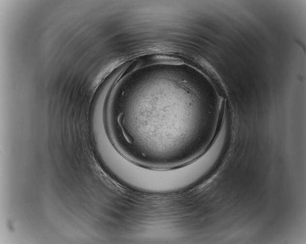 X0000099530930200805231058