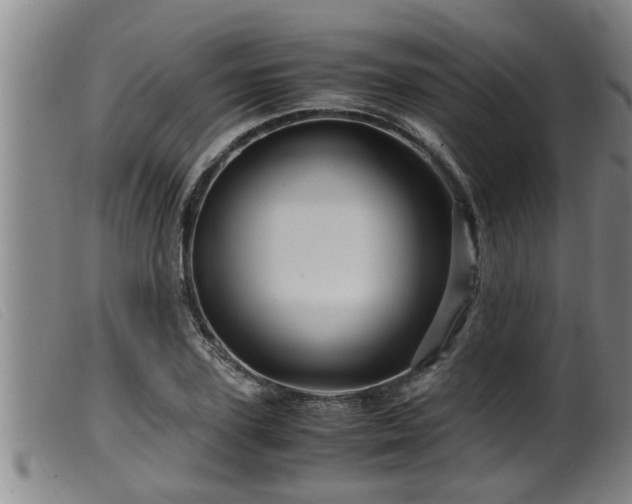 X0000099530931200805231058