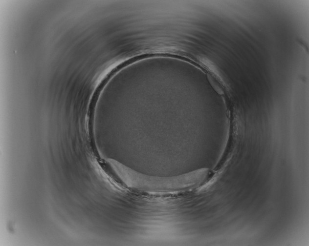 X0000099530932200805231058
