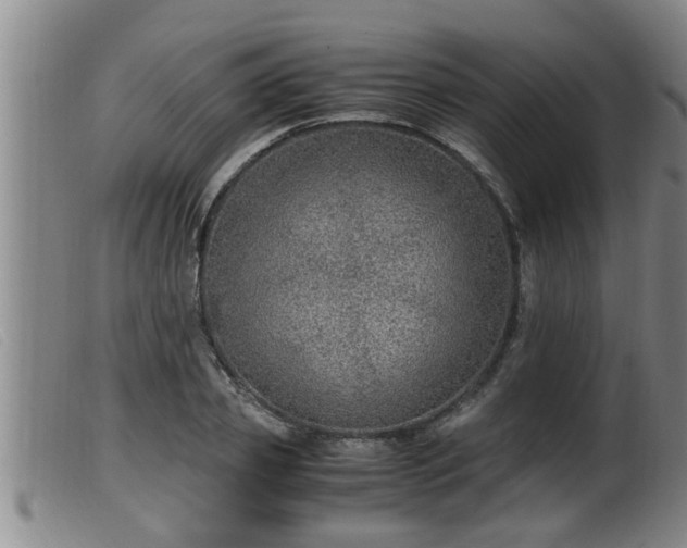 X0000099530933200805231058