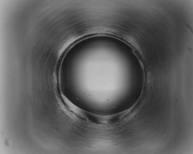 X0000099530936200805231058