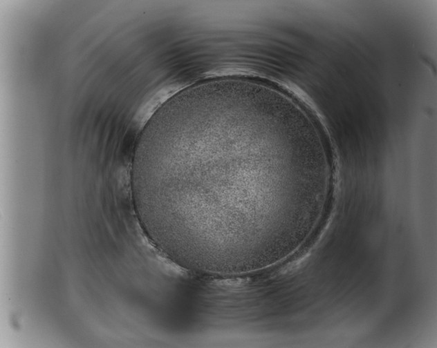 X0000099530937200805231058