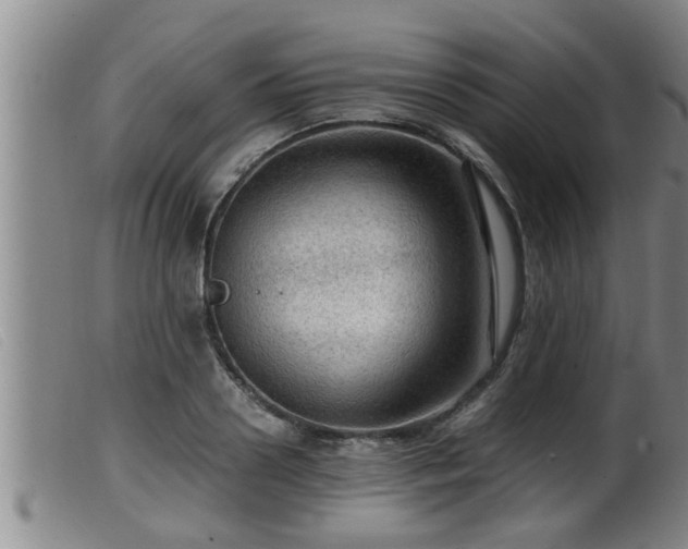 X0000099530938200805231059