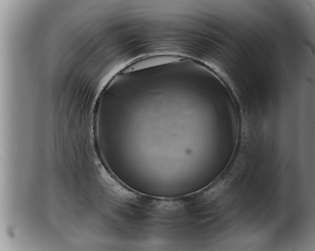 X0000099530941200805231059