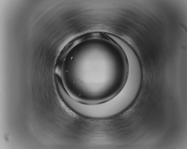 X0000099530942200805231059