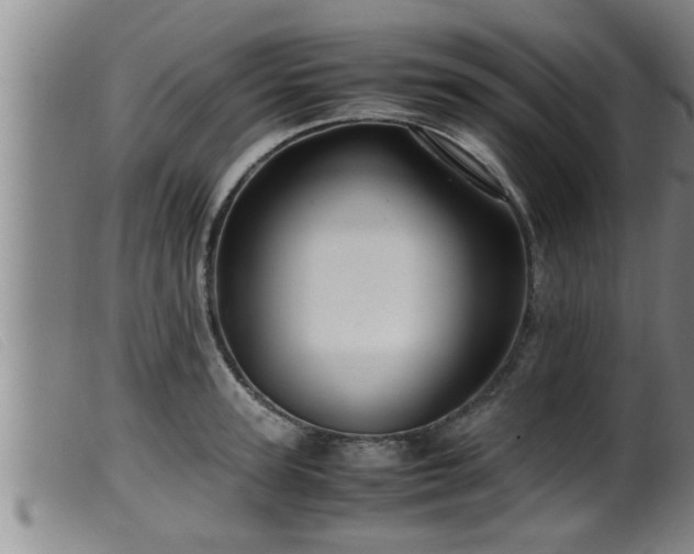 X0000099530947200805231059