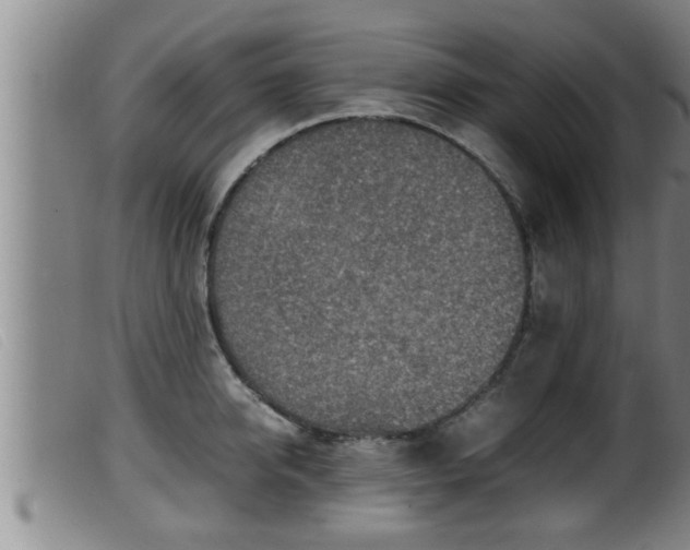 X0000099530950200805231059