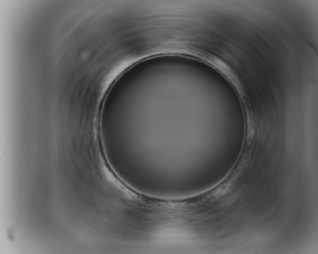 X0000099530958200805231059