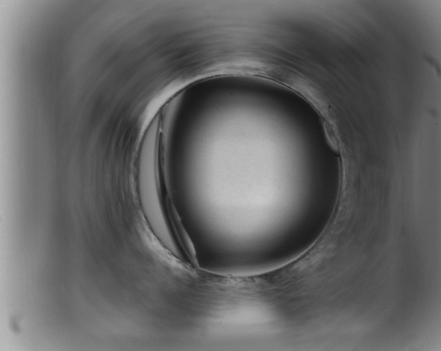 X0000099530960200805231059