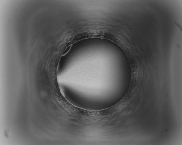 X0000099530961200805231058