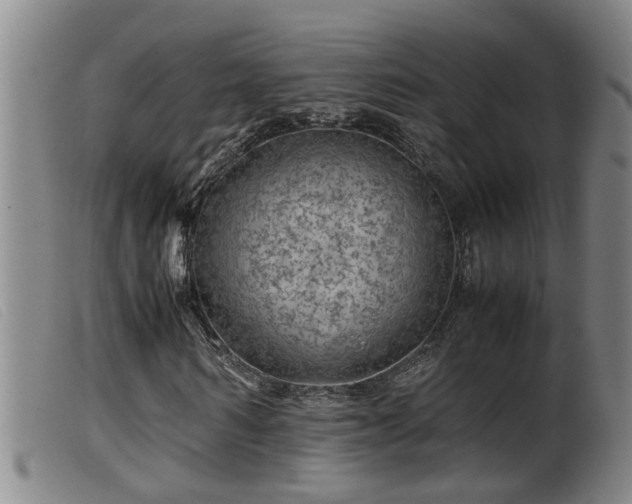 X0000099530962200805231058