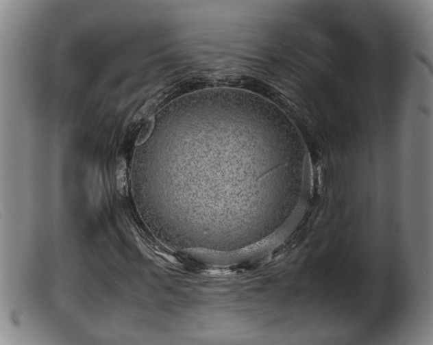 X0000099530963200805231058