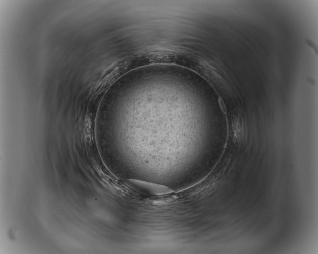 X0000099530964200805231058