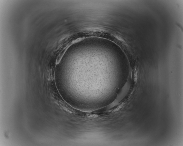 X0000099530965200805231058