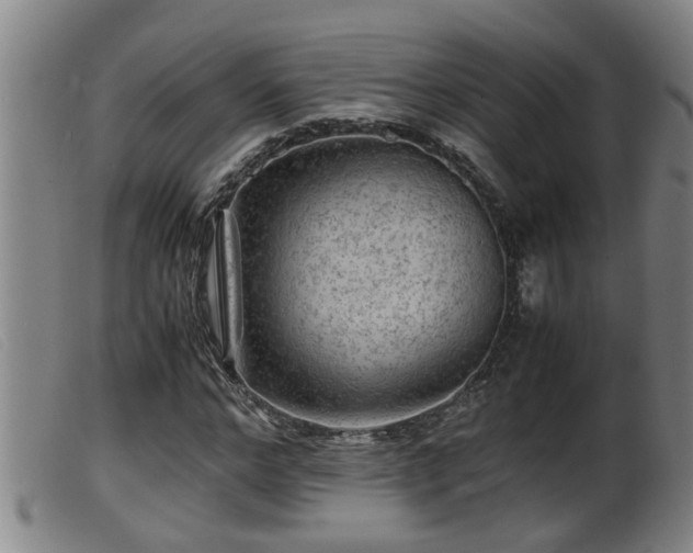 X0000099530968200805231058