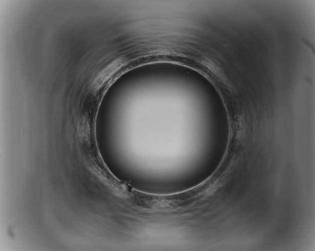 X0000099530969200805231058