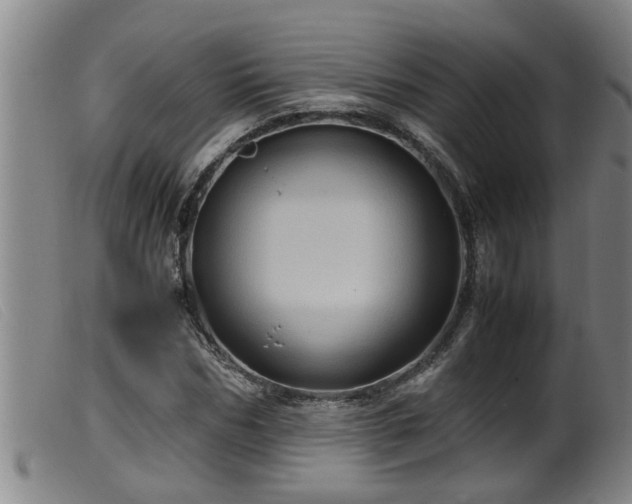 X0000099530970200805231058
