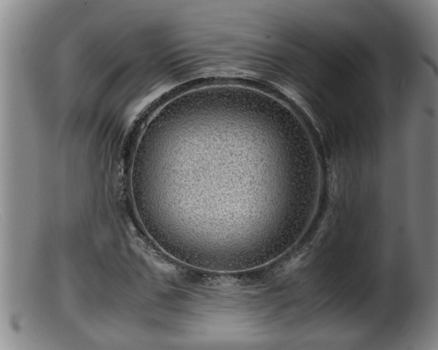 X0000099530971200805231058
