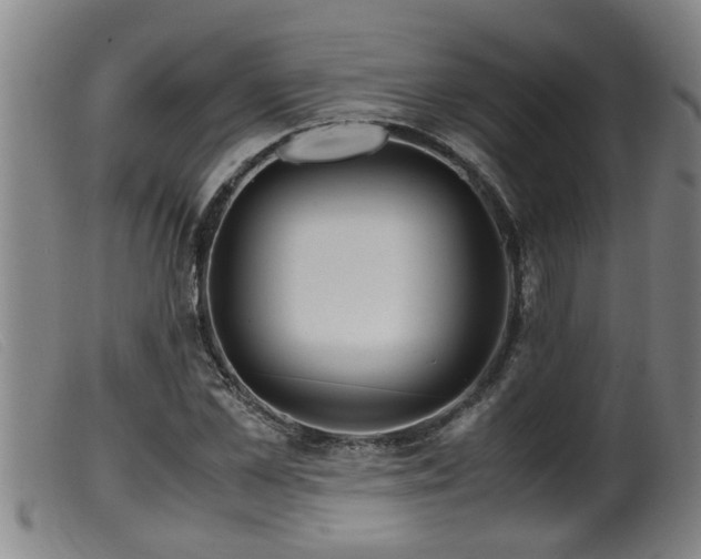 X0000099530973200805231058