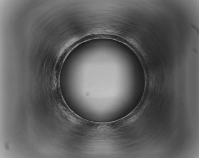X0000099530974200805231058