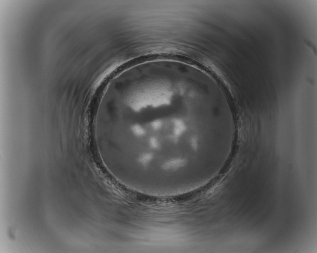X0000099530975200805231058