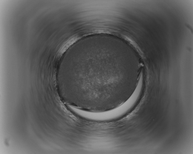 X0000099530977200805231058