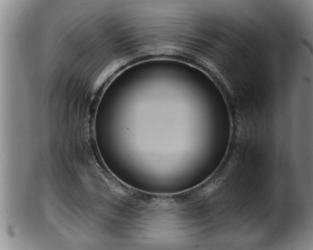 X0000099530978200805231058