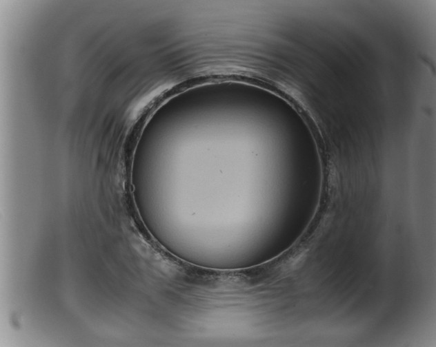 X0000099530979200805231058