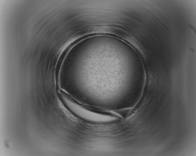 X0000099530980200805231058