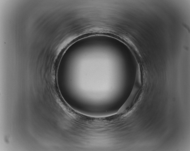 X0000099530981200805231058