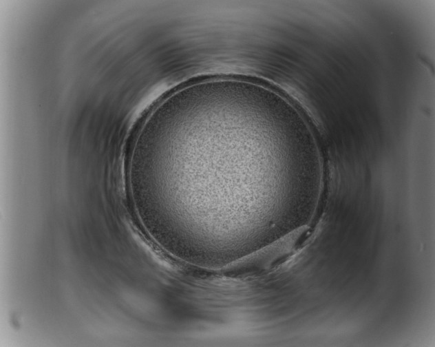 X0000099530982200805231058