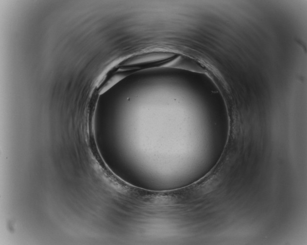 X0000099530984200805231058